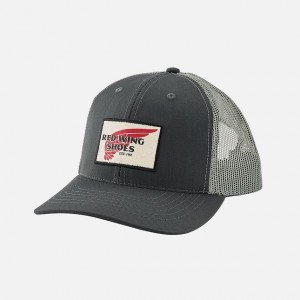 Chapeus Red Wing Embroidered Logo Ball | 861203-MBZ