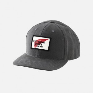 Chapeus Red Wing Embroidered Logo Ball | 935426-LBN