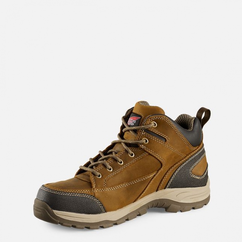 Botas de Trabalho Red Wing TruHiker Masculino | 832706-ATI