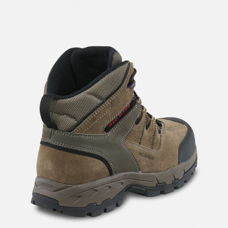 Botas de Trabalho Red Wing TruHiker Masculino | 720384-DTN