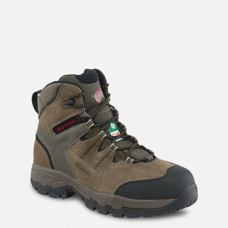 Botas de Trabalho Red Wing TruHiker Masculino | 720384-DTN